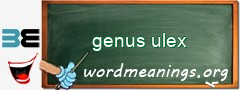 WordMeaning blackboard for genus ulex